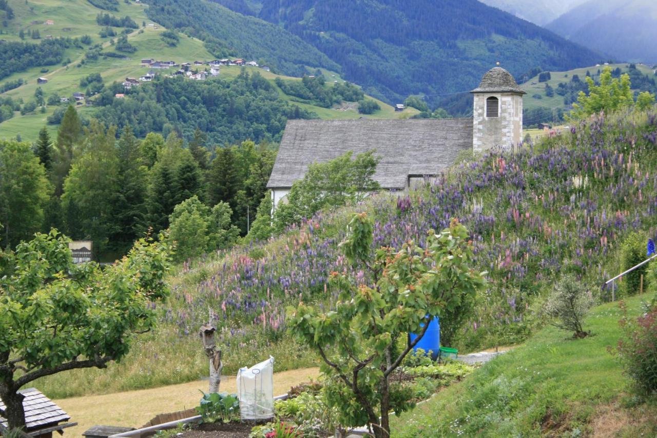 Casa Schuoler Apartment Disentis Exterior photo